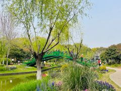 -上海鲜花港
