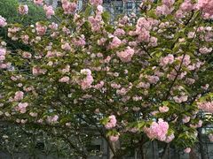 -广富林郊野公园