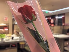 -海底捞火锅(武胜路凯德广场店)