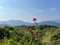 -广州市石门国家森林公园