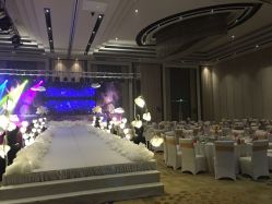 -M'S BANQUET AND SPACE ART