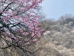 -少华山国家森林公园