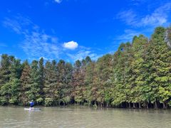 -上海海湾国家森林公园