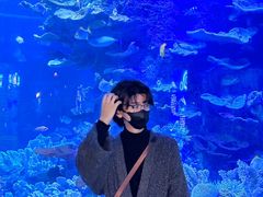 -左海海底世界