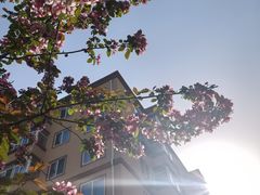 -长白岛森林公园