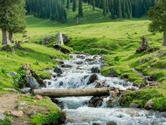 -新疆那拉提国家旅游度假区