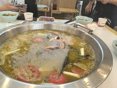 -七椒渔府·特色雅鱼餐厅(雨城店)