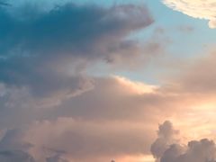 -东寨港红树林旅游区