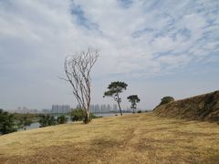 -盘龙城国家考古遗址公园