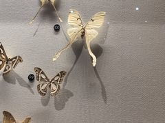 -上海自然博物馆