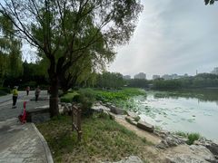 -护国寺小吃(安定门店)