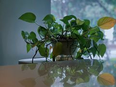 -迪欧咖啡·中西餐融合菜(平江万达旗舰店)