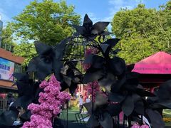 -西安电影制片厂