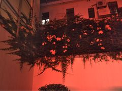 门面-常熟路(地铁站)