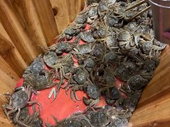 -初色海鲜自助(万丰路店)