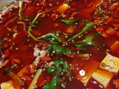 -蛙一刀·麻椒鱼火锅(金仙桥店)