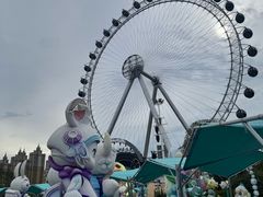 -海合安武汉极地海洋公园