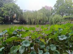 -西安市长乐公园