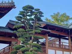 -径山寺