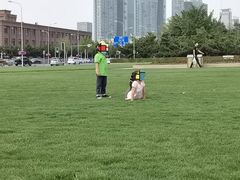 -大连人民广场
