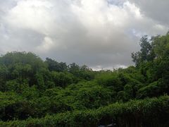 -上海玛雅海滩水公园