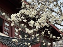 -堤角公园