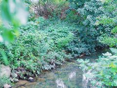 -白马涧龙池景区