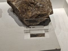 -重庆自然博物馆(新馆)