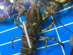 -济南海鲜大市场