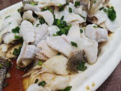 -沙田鸽王(解放路店)