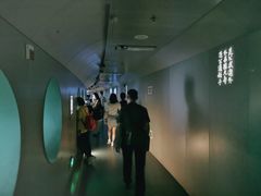 -白鹤梁水下博物馆