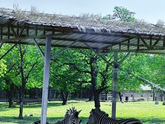 -西安秦岭野生动物园