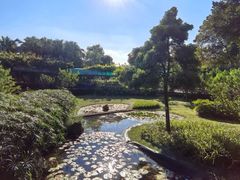-纪念孙中山市政公园
