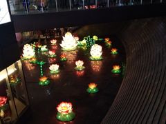 -大连路6号好酒不见