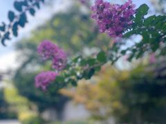 -西安华清御汤酒店