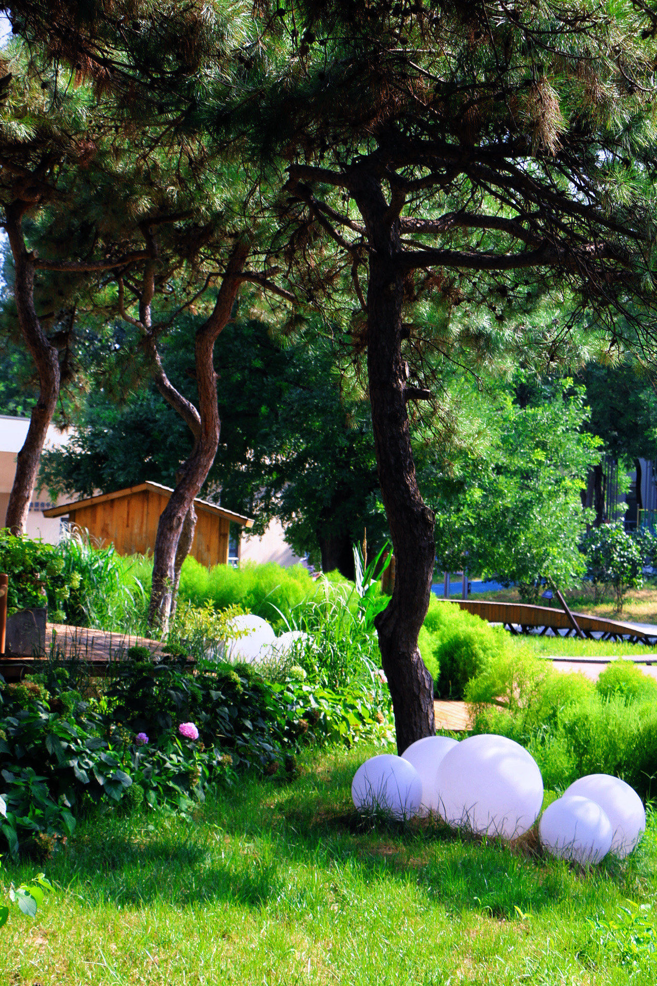 夏末秋初,微风清凉,自然界的绿意还在