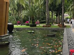 -三亚湾海居铂尔曼度假酒店