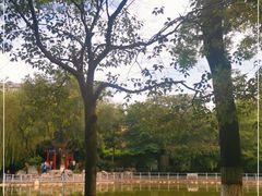 -莲湖公园