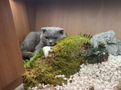 -汤宴·参须肚包鸡(南京路店)