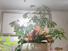 -懒人盐府人家·自贡大麻鱼(安贞店)