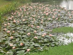 -水濂山森林公园