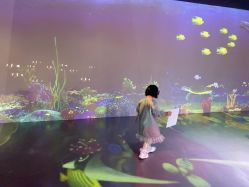 -小鸡哆哆故事屋·儿童乐园(嘉里城店)