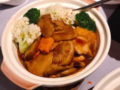 日式花菇豆腐煲-T館·花园艺术餐厅