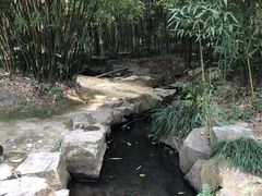 -兰亭风景区