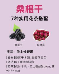 -雅曼妮spa美容养生