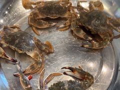 -锅老头铁锅炖•大锅蒸汽海鲜(韩乐坊店)