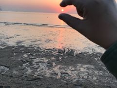 -巨鹏飞梦幻海岸