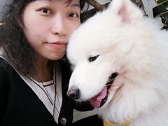 -more than meow吴止猫主题餐厅(承德 中船汇店)