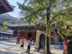 -青龙山生态文化旅游区(慈云寺)