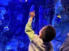 -芜湖新华联大白鲸海洋公园